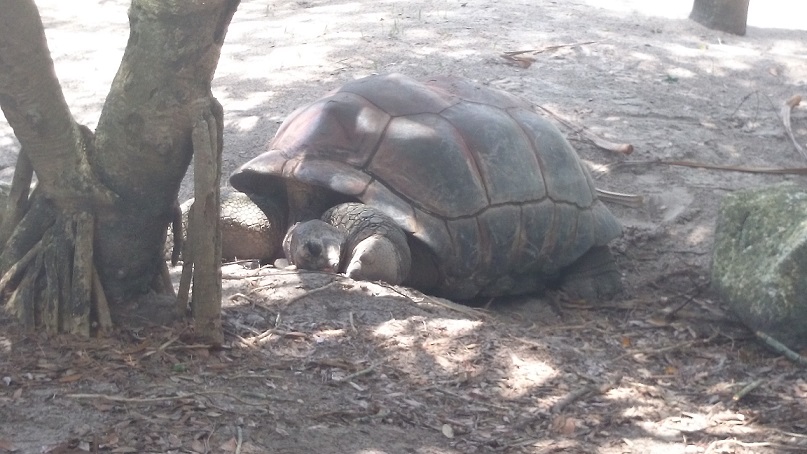 BuschGardens070414-02.JPG